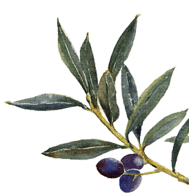olives bp - Бесплатный анимированный гифка