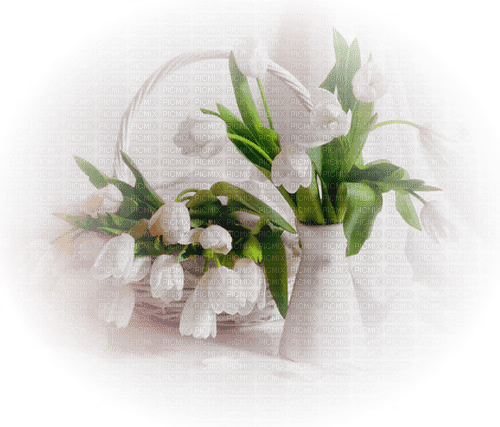 fleur vase blanc - ilmainen png