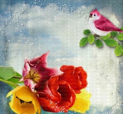 spring_summer background - 免费PNG
