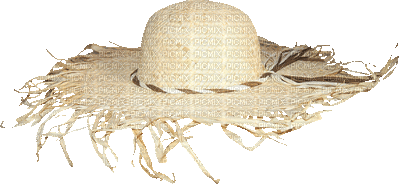 hat hut cap chapeau summer ete spring printemps tube - GIF animasi gratis