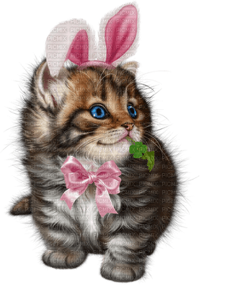 Kaz_Creations Easter Deco Cat Kitten - PNG gratuit
