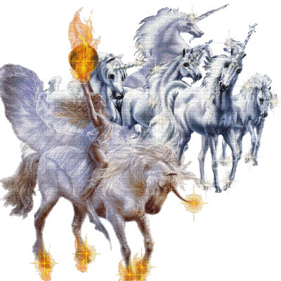 unicorn winged bp - 免费动画 GIF