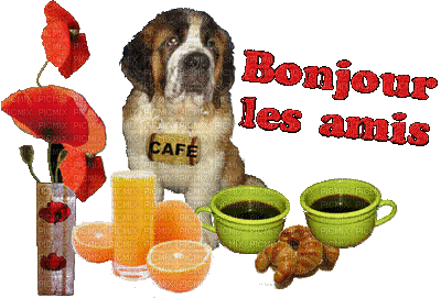 bonjour les amis - Бесплатный анимированный гифка