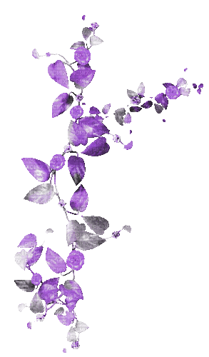 soave deco flowers branch leaves animated purple - Бесплатный анимированный гифка