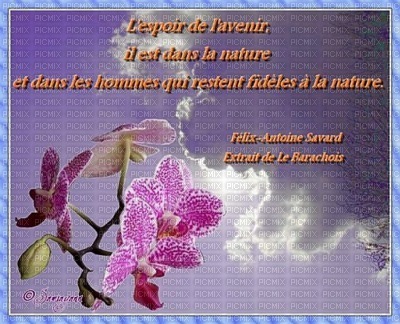 proverbe - δωρεάν png