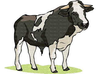 vache - Ilmainen animoitu GIF
