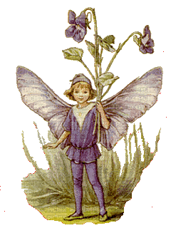 Fairy with Violet - Free animated GIF