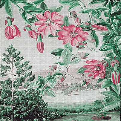 soave background  animated vintage  pink green - 免费动画 GIF