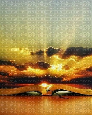 sunset and book - kostenlos png