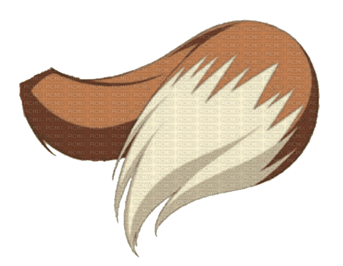 fox tail - PNG gratuit