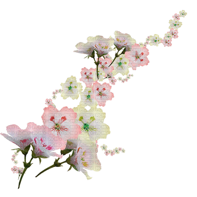 fleur multicolore.Cheyenne63 - 無料のアニメーション GIF