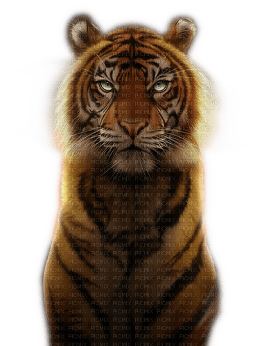 Rena Tiger Raubkatze Animal Tier - zdarma png