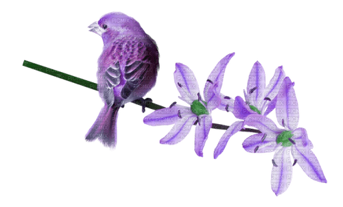 Птица на цветке - png gratis