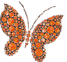 Mon animation d'auteur papillon Irena - GIF animate gratis