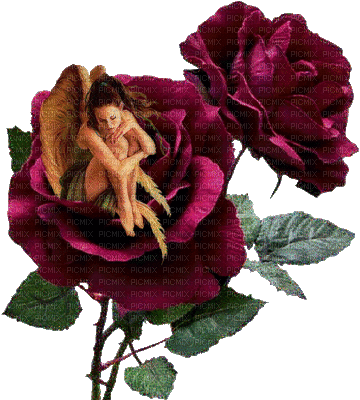 rose fairy bp - Darmowy animowany GIF