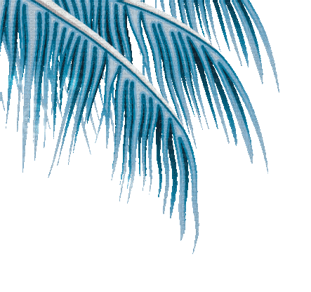 soave deco summer palm border animated blue - Nemokamas animacinis gif