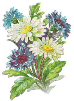 soave flowers deco branch garden vintage - Free PNG