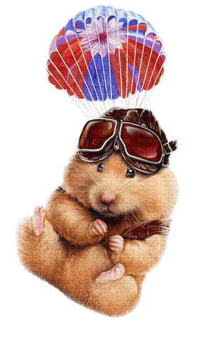 hamster by nataliplus - kostenlos png