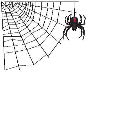 Halloween bp, spiderweb , spider , web , spider's - Free animated GIF -  PicMix