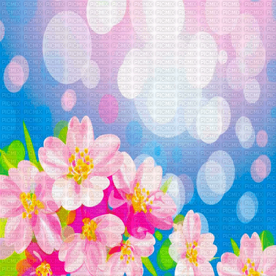 Y.A.M._Summer flowers background - darmowe png