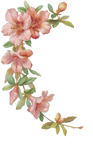 summer flowers pink - Бесплатный анимированный гифка