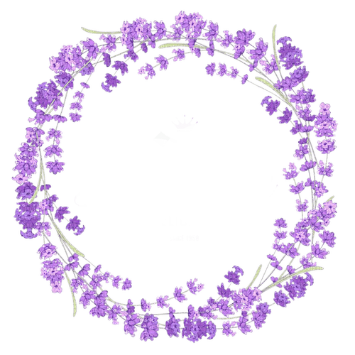 Lavender circle frame - png ฟรี