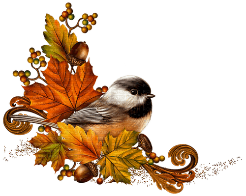 fågel-höstblad-autumn leaf--bird - фрее пнг