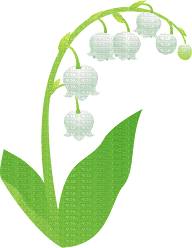 lily of the valley Bb2 - δωρεάν png