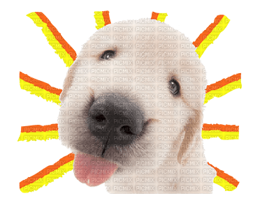 the dog line sticker - PNG gratuit