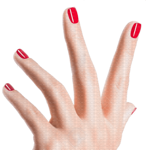 FINGER fingers 5 - png grátis