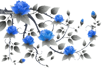 soave deco branch animated flowers rose spring - Ingyenes animált GIF