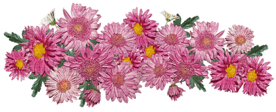kukka, flower, fleur - png gratis