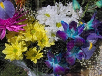 bouquet de fleur - kostenlos png