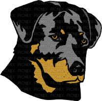 chien - zadarmo png