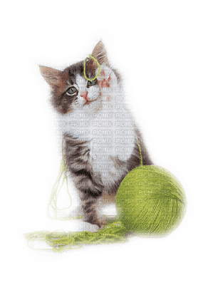 Kaz_Creations Cats Cat Kittens Kitten Wool - darmowe png
