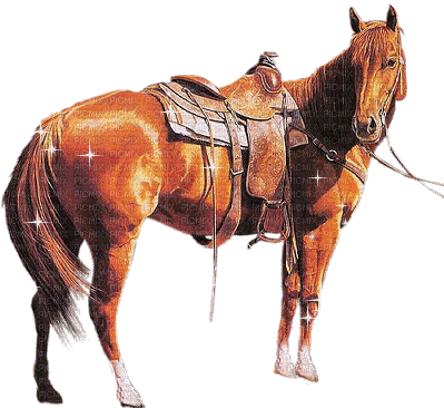 horse Nitsa P - Besplatni animirani GIF