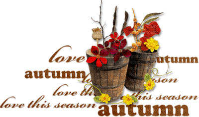 loly33 texte autumn - 免费PNG