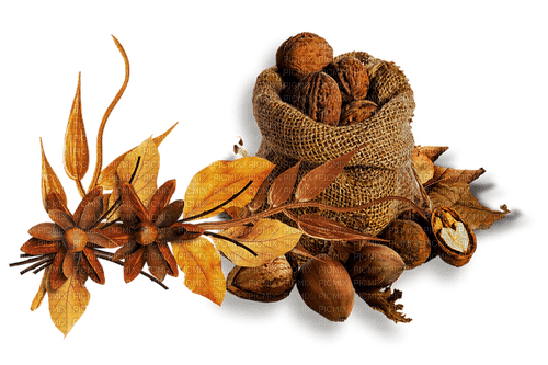 jesienny dekor - Free PNG