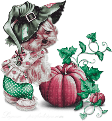 soave dog pumpkin halloween witch animals - png gratuito