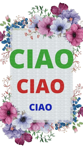 CIAO CIAO - gratis png