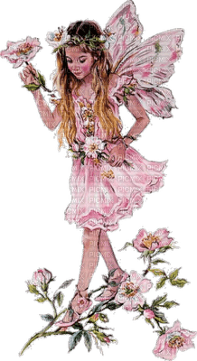Fairies - Free PNG