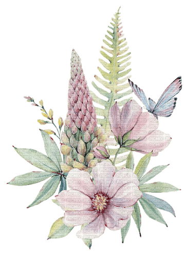 kikkapink lavender - ilmainen png