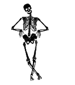 esqueleto.deco - Zdarma animovaný GIF