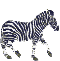 zebre - Gratis geanimeerde GIF