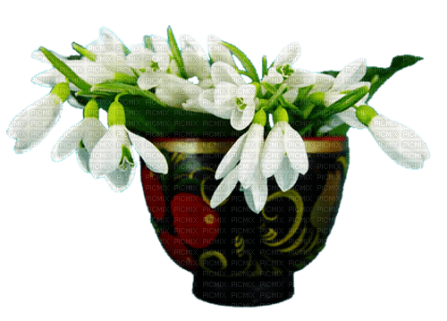 White Flowers.Fleurs blanches.Victoriabea - zdarma png