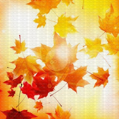 fond autumn automne - Free PNG