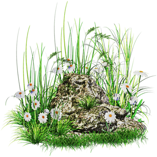 spring  déco - Free PNG