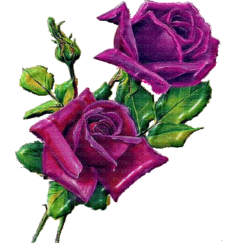 róże - Безплатен анимиран GIF