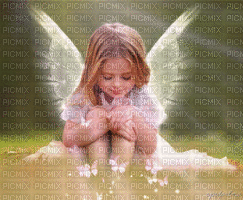 angelo e farfalle - GIF animé gratuit