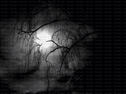 готика темный лес - Gratis animeret GIF